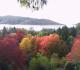 Eastwood Hill Arboretum