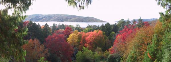 Eastwood Hill Arboretum
