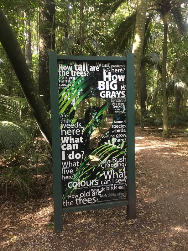 Gray's Bush Scenic Reserve Walks